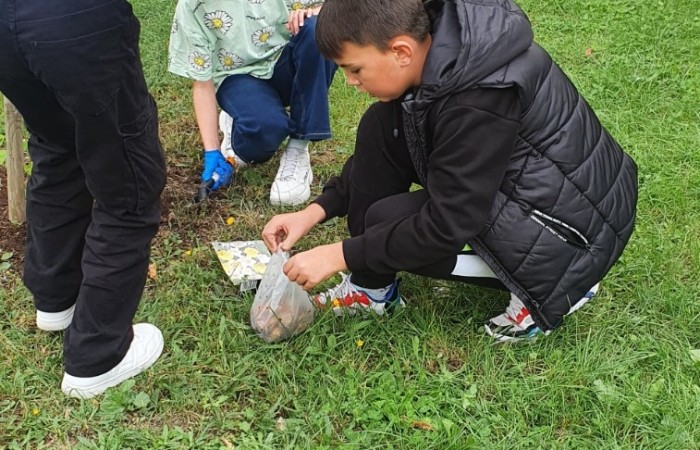 Uczniowie wsadzają cebulki żonkili