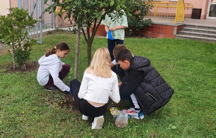 Uczniowie klasy IV d